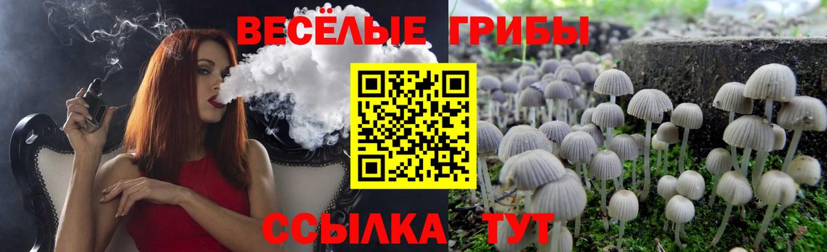 Галлюциногенные грибы Magic Shrooms  Вход с VPN  Ишимбай  Псилоцибиновые грибы мухоморы 